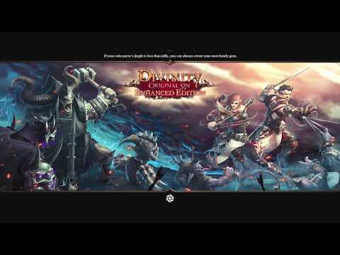 Divinity: Original Sin Enhanced ed. - part 8, Split screen Co-op, 1080p 60fps - No commentary