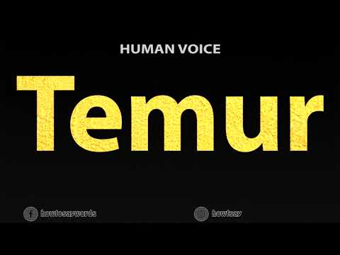 How To Pronounce Temur