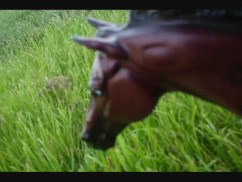 Breyer Horse Movie-Ruffian Foolish Pleasure Match Race