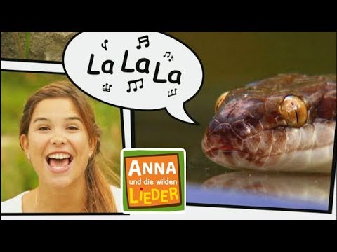 Reptil mit Stil | Kinderlied mit Tieren | Anna und die wilden Lieder