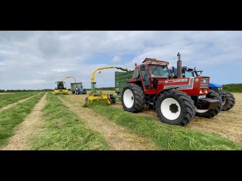 Mogeely Vintage Silage 2023