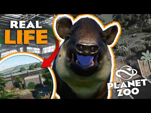 🌴 Building a Tapir Habitat in Planet Zoo, But I Need To Follow AZA Guidelines