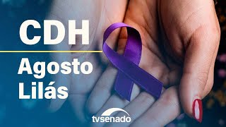 CDH debate ações do programa Agosto Lilás – 6/8/25