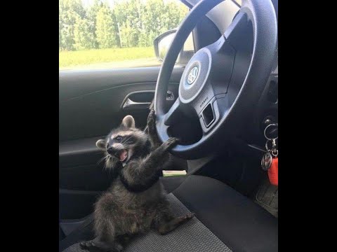 Linux function hooking using C