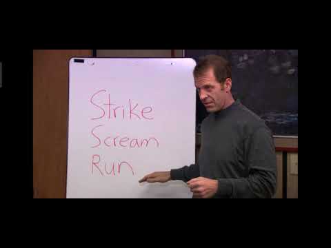 Strike, Scream Run. The Office