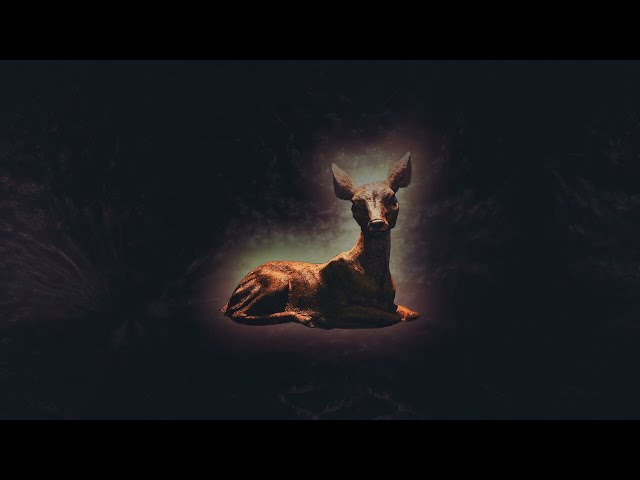 La trayectoria musical de la banda Junip