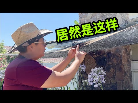 如何幫植物遮陽