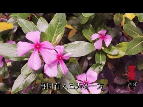 絕不和解 世上沒有後悔藥