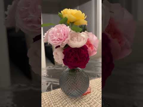 Rose arrangement 2023 # DA roses #Olivia RA #Munstead Wood# Lady of Shallot # Bascobel #Desdemona