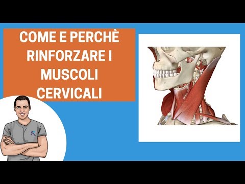 Giunti di fango con mioma uterino Osteocondrosi della colonna vertebrale toracica che curare