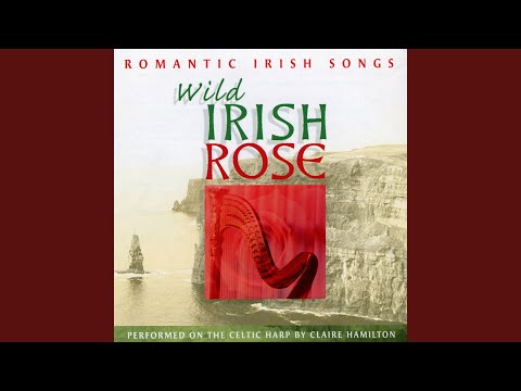 Limerick is Beautiful