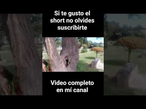 Visitando papagayos y villa larca san Luis Parte 1 #viajar #viajes #motovlog #turismo