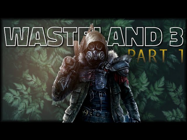 Wasteland 3