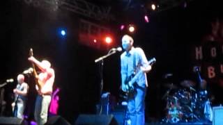 Toadies - Mister Love