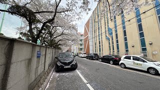 🇰🇷韓国ソウルLIVE散策 ライブ配信