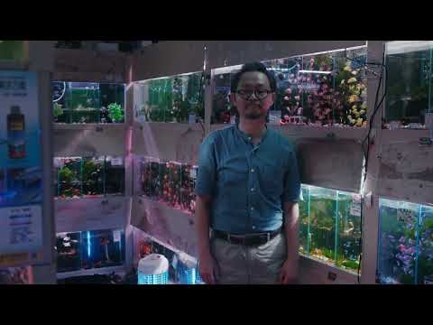 2025台北電影節｜廣角台灣：台灣短SHOW II｜魚說 A Man, A Fish and Everything Else