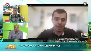 ΛΑΓΟΚΕΦΑΛΟΙ: ΕΙΝΑΙ ΕΠΙΚΙΝΔΗΝΟΙ;_ΔΗΜΗΤΡΗΣ ΠΑΦΡΑΣ 16 06 2026 ΛΑΓΟΚΕΦΑΛΟΙ: ΕΙΝΑΙ ΕΠΙΚΙΝΔΗΝΟΙ;_ΔΗΜΗΤΡΗΣ ΠΑΦΡΑΣ 16 06 2026
