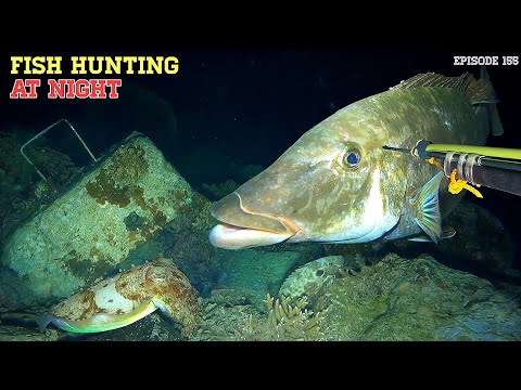 NIGHT SPEARFISHING EPISODE 155 | FISH HUNTING AT NIGHT