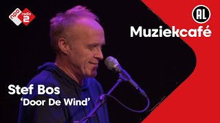 Stef Bos - Door De Wind | NPO Radio 2