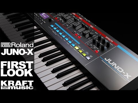 Roland Juno-X 61-Key Programmable Polyphonic Synthesizer - Carry Bag Kit image 6