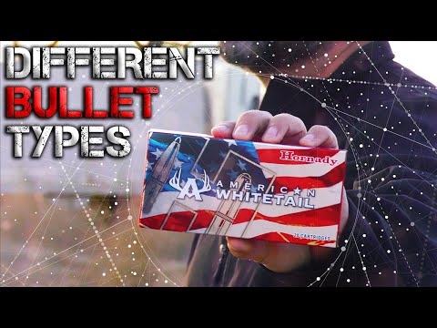 The Best Bullets for Whitetail Hunters