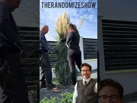 ❄️ Por Qué NO Debes Cortar Este Pasto en Invierno​