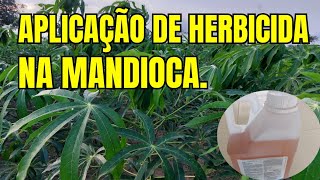 APLICAÇÃO DE HERBICIDA NA MANDIOCA.