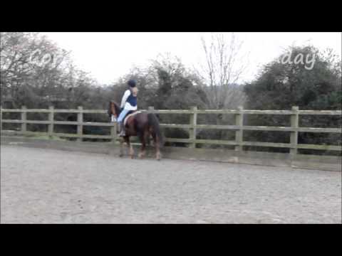 Happy Birthday Coral- I Found You