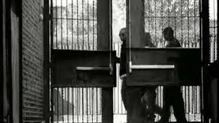 Don Omar callejero soy ft Tego Calderon video 2020