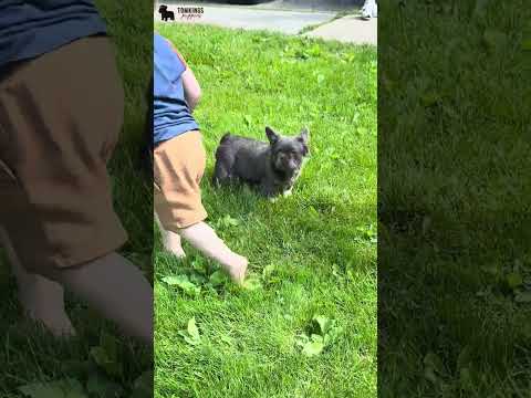 Video 3