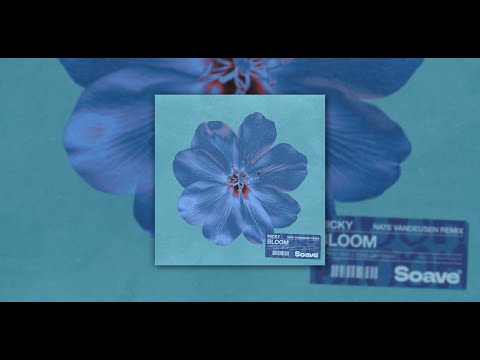 Micky - Bloom (Nate VanDeusen Remix) [cover] [lyric video]