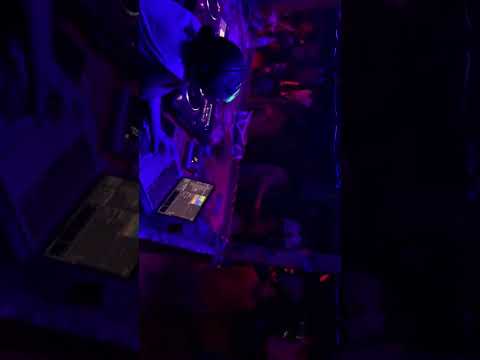 Dj nuky playing at shiva valley