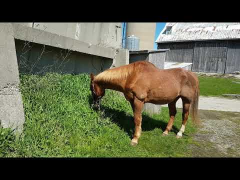 Happy 32nd Birthday, Ragan!