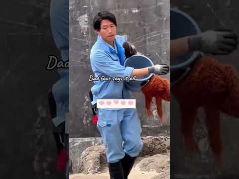 baby punch ❤️ #ctto #trending