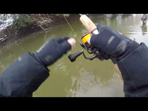 Erie Steelheading Fun November 2022