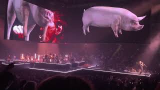 Roger Waters Shine On You Crazy Diamond (Parts VI-VIII), Sheep Scotiabank Arena Toronto, July 9 &#39;22