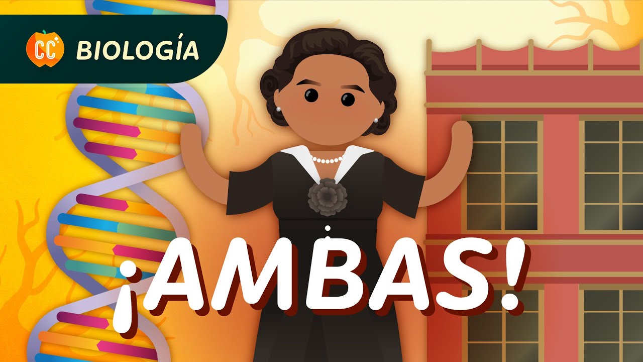 ¿Naturaleza o crianza? No es tan simple (Genética compleja): Crash Course Biología #32