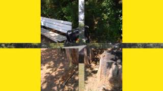 Disc Go Dis Way, Dis Go Dat Way!