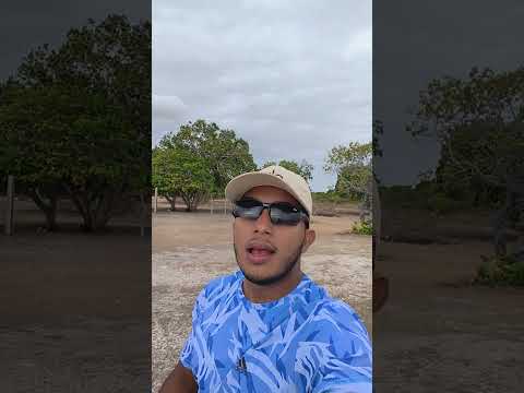 17 de março de 2026