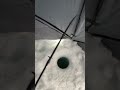 Video Thumbnail for When your Drag is too loose #icefishing #fishing #bloopers #pikefishing #frostbite