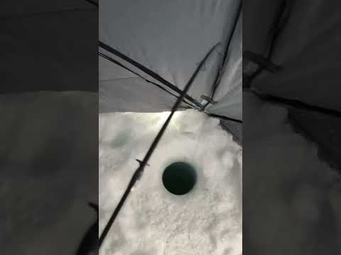 When your Drag is too loose #icefishing #fishing #bloopers #pikefishing #frostbite