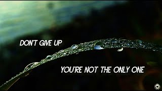 Peter Gabriel &amp; Kate Bush - Don&#39;t Give Up [Lyrics]