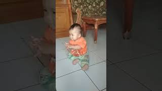 Download lagu bayi lucu goyang dangdut😂 mp3 Download lagu bayi lucu goyang dangdut😂 mp3