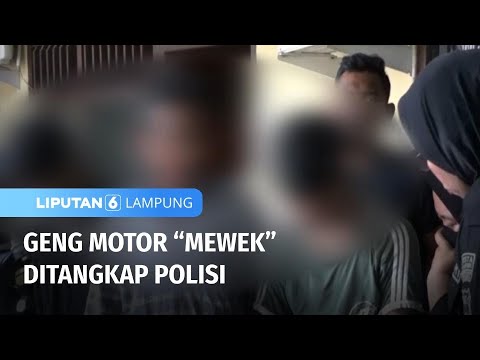 Geng Motor "Mewek" Ditangkap Polisi | Liputan 6 Lampung