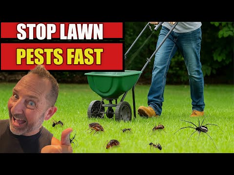 “Stop Lawn Pests FAST! 🐜 Best Granular Insecticides Explained”