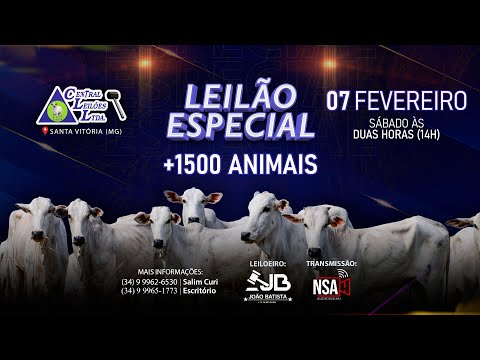 🌾  Leilão Especial Carga Fechada  - Central Leilões - Santa Vitória (MG) - 07 de FEVEREIRO