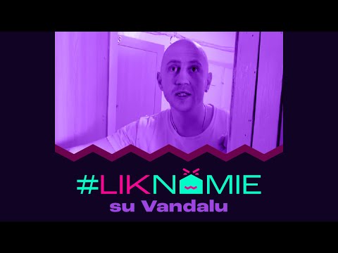#LikNamie | Vandalas | Marius Repšys || Laisvės TV X