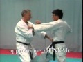 BUNKAI TEKKI SANDAN