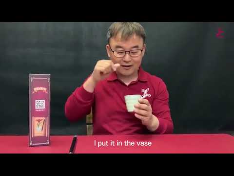 Saturn Magic - WAND TO FLOWER by JL Magic - Trick