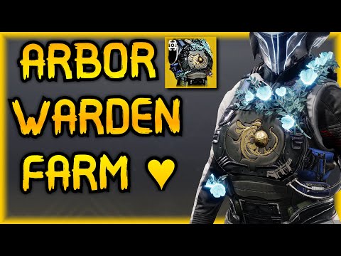 Farm ARBOR WARDEN Today at K1 Crew Quarters Master Lost Sector (Full Build Guide)